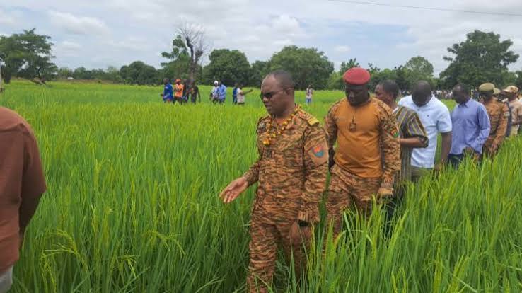 Burkina Faso : 840 milliards de FCFA pour une nouvelle offensive agropastorale, la souveraineté alimentaire malgré la guerre